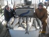 (03/15/2018) - Nice Striped Bass
